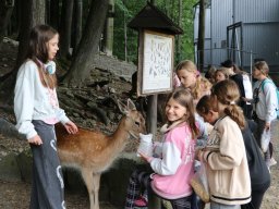 Półkolonie letnie, 1-5.07.2024